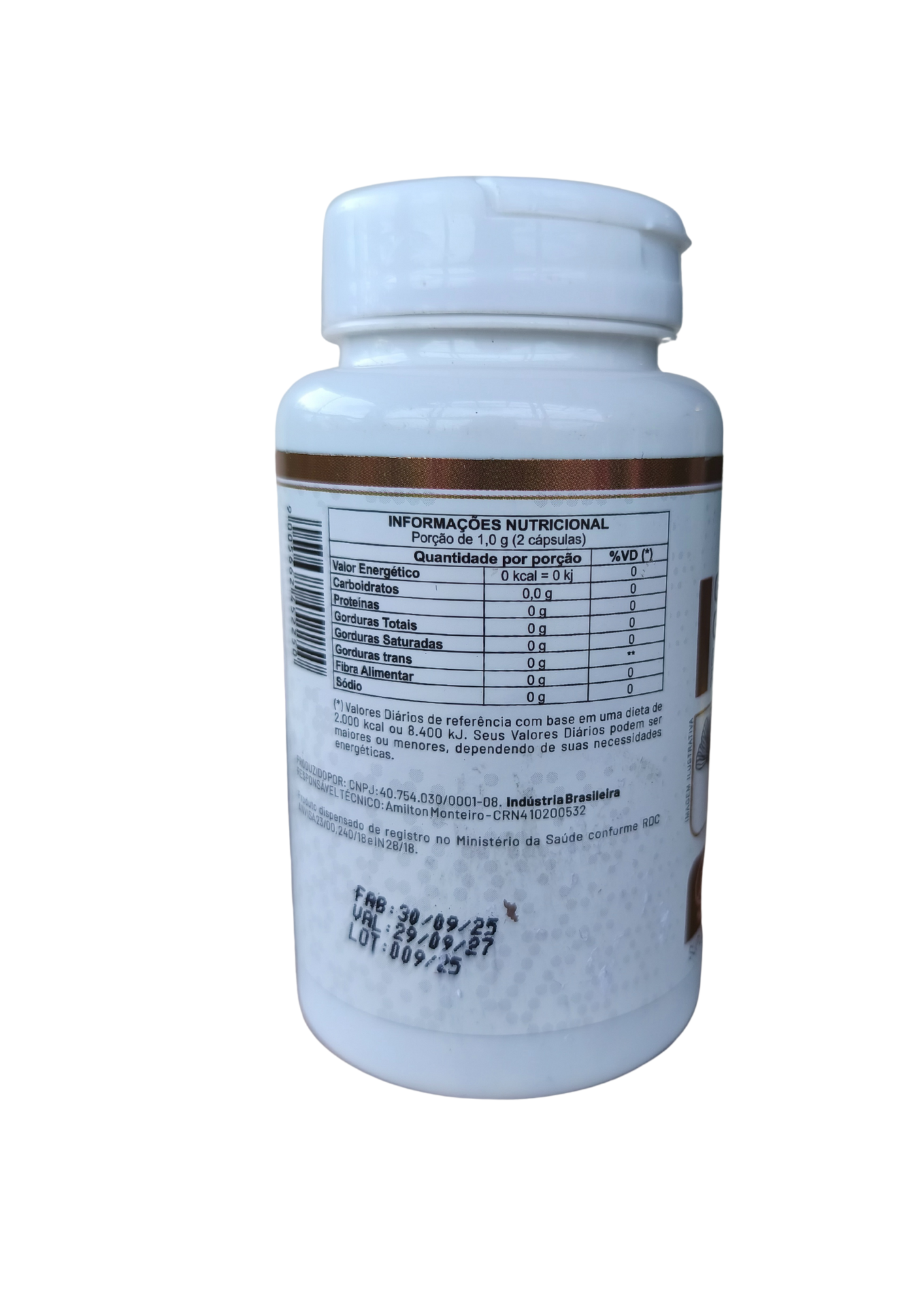 GINKGO BILOBA COM GINSENG - 500mg - 60 Cápsulas - PURA FÓRMULA